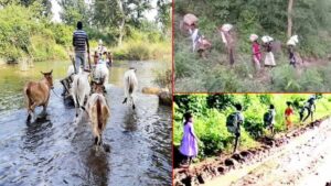 Andhra Pradesh: రోడ్డు లేక విద్యార్థుల అవస్థలు.. డిప్యూటీ సీఎం స్పందించాలని చిన్నారుల వినతి..