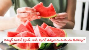 Watermelon Facts: 90 % నీరు.. అంతులేని పోషకాలు.. అయినా పుచ్చకాయను వీరు తింటే డేంజరే!
