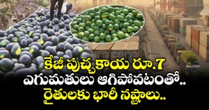 కేజీ పుచ్చకాయ రూ.7: ఎగుమతులు ఆగిపోవటంతో రైతులకు భారీ నష్టాలు..