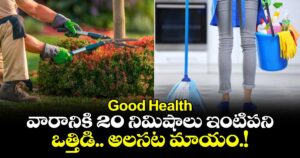Good Health :  వారానికి 20 నిమిషాలు ఇంటిపని .. ఒత్తిడి.. అలసట మాయం.!