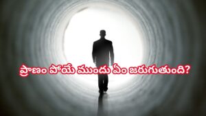 మరణించే ముందు మనిషిలో ఎలాంటి మార్పులు కనిపిస్తాయి..! గరుడ పురాణం ఏం చెబుతోంది?