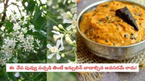 Vepa Puvvu Pachadi: వేప పువ్వును ఉగాది పచ్చడికే వాడుతున్నారా?.. ఈ రోటి పచ్చడి రుచి చూస్తే అస్సలు వదలరు!
