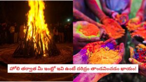 Holi 2026: హోలి మంటల్లో మీ కష్టాలన్నీ కాలిపోవాలంటే.. మీ ఇంటి నుండి ఈ వస్తువులను సాగనంపండి!