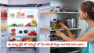 Fridge Hacks: మీ ఫ్రిజ్‌లో ఈ చిన్న బటన్ నొక్కితే చాలు.. మీ కరెంటు బిల్లు సగానికి తగ్గుతుంది!