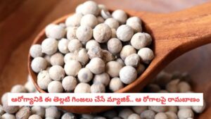Health Hacks: ఊబకాయంతో విసిగిపోయారా?.. ఈ తెల్లటి గింజలతో కొవ్వు మంచులా కరిగిపోవాల్సిందే!