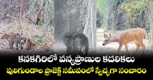 కనకగిరిలో వన్యప్రాణుల కదలికలు...పులిగుండాల ప్రాజెక్ట్ సమీపంలో స్వేచ్ఛగా సంచారం