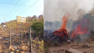 Andhra Pradesh: శ్మశాన వాటికలో పెద్ద ఎత్తున మంటలు.. ఏంటా అని స్థానికులు దగ్గరికెళ్లి చూడగా..