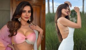 Ashu Reddy Case : నటి అషు రెడ్డి కేసులో కీలక అంశాలు.. విస్తుపోయే నిజాలు.!