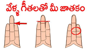 Personality Trait: మీ చేతి వేళ్ల పొడవుతో మీరెలాంటి వారో చెప్పేయొచ్చు.. ఆ రెండు కలిస్తే.!