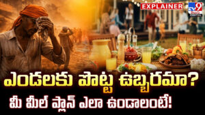 ఎండలకు పొట్ట ఉబ్బరమా ?? మీ మీల్ ప్లాన్ ఎలా ఉండాలంటే !!