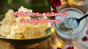ఎన్నో రోగాలను నయం చేసే గోంద్ కతీరా.. ఎన్ని రకాలుగా తినొచ్చో తెలిస్తే అస్సలు వదలరండోయ్..