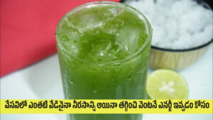 ఎర్రటి ఎండలో మ్యాజిక్ చేసే జ్యూస్ ఇది.. బాడీ మొత్తం కూల్ అయిపోతది..