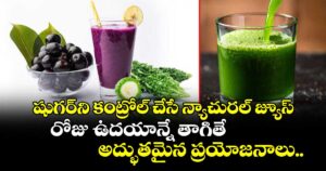 షుగర్‌ని కంట్రోల్ చేసే న్యాచురల్ జ్యూస్ : రోజు ఉదయాన్నే తాగితే అద్భుతమైన ప్రయోజనాలు..