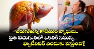 ఇండియాలో పెరుగుతున్న కాలేయం వ్యాధులు..ప్రతి ఐదుగురిలో ఒకరికి సమస్య.. ఫ్యాటీలివర్ ఎందుకు వస్తుంది?