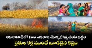 ఆదిలాబాద్‌లో 100 ఎకరాల మొక్కజొన్న పంట దగ్ధం.. రైతుల కళ్ల ముందే బూడిదైన కష్టం