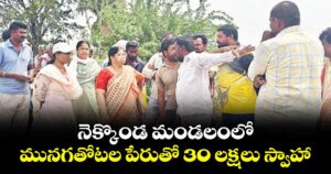 నెక్కొండ మండలంలో మునగ తోటల పేరుతో 30 లక్షలు స్వాహా