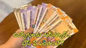 8th Pay Commission: వేతన సంఘ సమావేశం.. బేస్‌ పే ఎంత ఉండొచ్చంటే..?