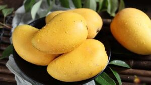 Japan-Mangoes: అన్నదాతలకు జపాన్ షాక్.. సీజన్‌లో భారత మామిడిపండ్లపై నిషేధం