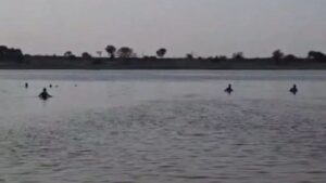 Mantralayam Tragedy: మంత్రాలయంలో విషాదం.. తుంగభద్ర నదిలో ఐదుగురు గల్లంతు.. నాలుగు మృతదేహాలు లభ్యం!