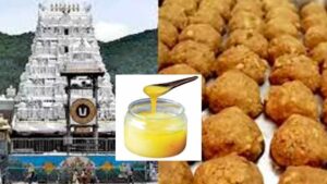 TTD Laddu Report: తిరుమల లడ్డూ వ్యవహారంపై ప్రభుత్వానికి నివేదిక.. కీలక అంశాలు వెలుగులోకి తెచ్చిన ఏక సభ్య కమిటీ..