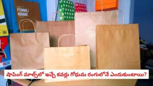 Brown Paper Bag: షాపింగ్ మాల్స్ లో ఇచ్చే కవర్లు గోధుమ రంగులోనే ఎందుకుంటాయి, దీని వెనుక ఉన్న అసలు కారణం ఏమిటి?