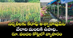 నర్సరీలకు కేరాఫ్ అశ్వారావుపేట..వేలాది మందికి ఉపాధి.. రూ. వందల కోట్లలో వ్యాపారం