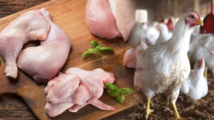 Chicken Pricce: ఏపీ, తెలంగాణలో భారీగా పెరిగిన చికెన్ ధరలు.. కేజీ ఎంతో తెలిస్తే షాకే.. కారణాలు ఇవే..