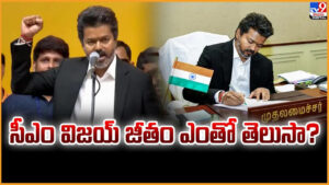 CM Thalapathy Vijay: సీఎం విజయ్ జీతం ఎంతో తెలుసా ??