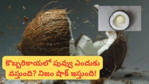 కొబ్బరికాయ కొట్టినప్పుడు అందులో పువ్వు వస్తే మంచిదేనా.? 99% మందికి తెలియని నిజం!