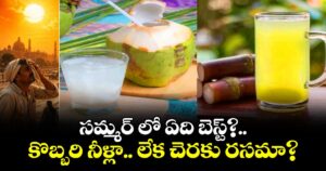 సమ్మర్ లో ఏది బెస్ట్? కొబ్బరి నీళ్లా? లేక చెరకు రసమా? వాస్తవాలు ఇవే!