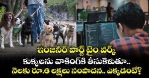 ఇంజనీర్ పార్ట్ టైం వర్క్.. కుక్కలను వాకింగ్‌కి తీసుకెళుతూ నెలకు రూ.6 లక్షలు సంపాదన.. ఎక్కడంటే?