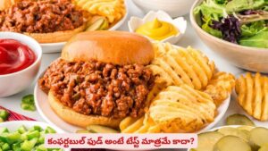 కంఫర్టబుల్ ఫుడ్ అంటే ఏంటో తెలుసా? రుచి మాత్రం అస్సలు కాదు