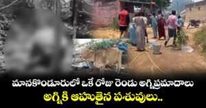 మానకొండూరులో ఒకే రోజు రెండు అగ్నిప్రమాదాలు... అగ్నికి ఆహుతైన పశువులు..
