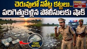 చెరువులో నోట్ల కట్టలు.. పరిగెత్తుకెళ్లిన పోలీసులకు షాక్‌