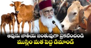 ఆవును జాతీయ జంతువుగా ప్రకటించండి: ముస్లిం మత పెద్ద డిమాండ్