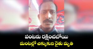పంటను రక్షించబోయి మంటల్లో చిక్కుకుని రైతు మృతి.. నిర్మల్ జిల్లాలో ఘటన