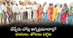 వేర్వేరు చోట్ల అగ్నిప్రమాదాల్లో పంటలు, తోటలు దగ్ధం