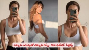 హెవీ వర్కవుట్స్‌తో ఆడవాళ్లకు నష్టమా? బాలీవుడ్ ఫిట్‌నెస్ ఫ్రీక్ టెక్నిక్స్ ఇవే