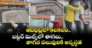 ఆదిభట్లలో కలకలం.. బట్టర్ మిల్క్‌లో ఈగలు.. తాగిన పలువురికి అస్వస్థత
