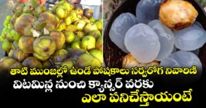 Summer Health : తాటి ముంజల్లో ఉండే పోషకాలు సర్వరోగ నివారిణి.. విటమిన్ల నుంచి క్యాన్సర్ వరకు ఎలా పనిచేస్తాయంటే