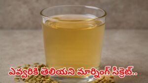 అబ్రకదబ్ర.. అద్భుతమైన డ్రింక్.. ఉదయాన్నే ఒక్క గ్లాస్ తాగితే ఏ రోగమైనా ఇట్టె పరార్..