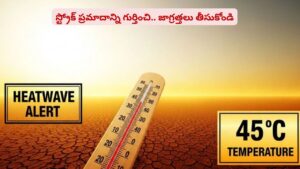 ఎండ వేడికి బ్రెయిన్‌పై ఎలాంటి ఎఫెక్ట్ పడుతుందో తెలుసా? ప్రాణాలు పోయేంత డేంజరా