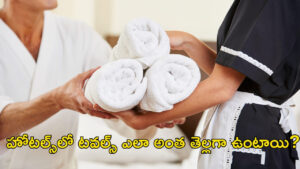 హోటల్స్‌లో టవల్స్‌ ఎలా అంత తెల్లగా క్లీన్‌గా ఉంటాయి? దాని వెనకున్న సీక్రెట్‌ ఇదే