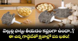 వెల్లుల్లి పొట్టు తీయడం కష్టంగా ఉందా..? ఈ చిన్న గాడ్జెట్‌తో క్షణాల్లో పని ఖతం!