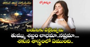 జ్యోతిష్యం:  బయటకు వెళ్లేటప్పుడు తుమ్ము శబ్దం లాభమా..నష్టమా....శకున శాస్త్రంలో ఏముంది..