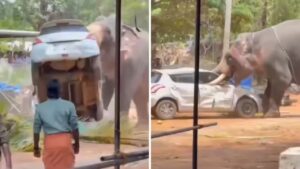 Viral Video: ఏనుగు కోపాన్ని ఎప్పుడైనా చూశారా?.. కారును ఆటబొమ్మలా ఎలా విసిరికొట్టిందో చూడండి!