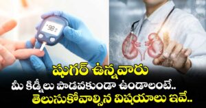 షుగర్ ఉన్నవారు మీ కిడ్నీలు పాడవకుండా ఉండాలంటే..  తెలుసుకోవాల్సిన విషయాలు ఇవే..