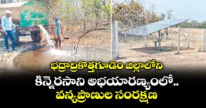 భద్రాద్రి కొత్తగూడెం జిల్లాలోని కిన్నెరసాని అభయారణ్యంలో.. వన్యప్రాణుల సంరక్షణ