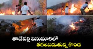 తాడేపల్లి పెనుమాకలో.. తగలబడుతున్న కొండ