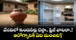 Health tips: వేసవిలో కుండనీళ్లు బెస్టా.. ఫ్రిజ్ వాటరా..! ఆరోగ్యానికి ఏది మంచిది?